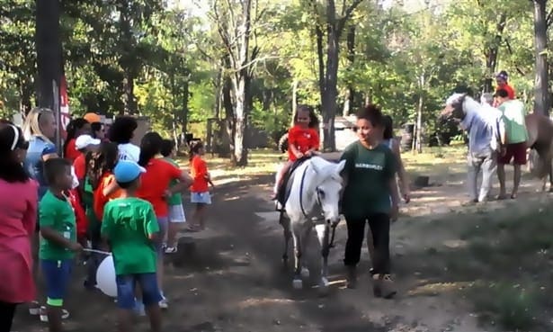 дете язди кон в Добрич